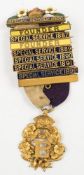 A Victorian Primrose League badge with six Special Service bars and two Founder bars:.
