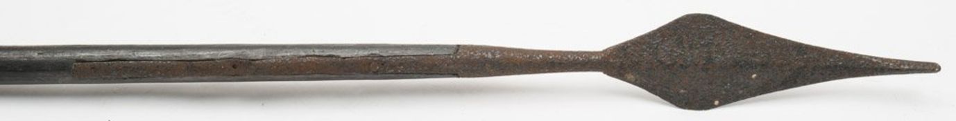 A long armed spear with steel tip:, 230cm.