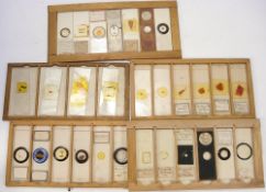 A large collection of early 20th century microscope slides:, various biological,