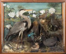 An early 20th century taxidermy group of water fowl:, including a heron and a kingfisher,