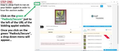 CHROME USERS: HOW TO ALLOW FLASH IN ORDER TO HEAR AUDIO - STEP 1