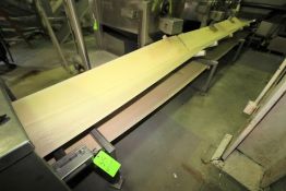 23 ft. S/S Belt Conveyor System with 24