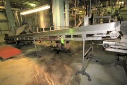 ~28 ft. L S/S Inclined Inspection Conveyor System, with 34