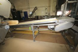 16 ft L Inclined S/S Belt Conveyor System with 24