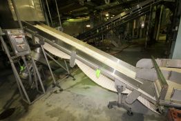 ~13 ft. L S/S Inclined Conveyor System, with 18