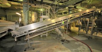 ~22 ft. L S/S Inclined Conveyor System, with 34