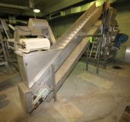 ~13 ft. L S/S Inclined Belt Conveyor System with 18