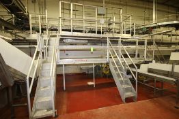 2-Tier S/S Platform with (4) Sets Stairs, Handrails, Safety Rails and (1) Crossover