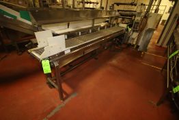 ~10 ft. L S/S Infeed Conveyor with 13