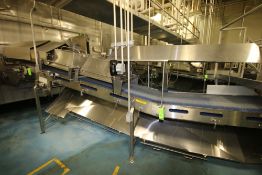 ~17 ft. L S/S Discharge Conveyor with 32