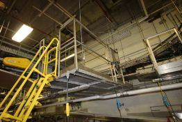 Overhead S/S Platform with Safety Rails