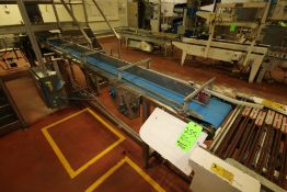 ~12 ft. L S/S Belt Conveyor with 11