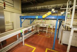 Lewco Bulk Case Roller Conveyor with 51