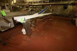 ~17 ft. L S/S Infeed Conveyor with 12