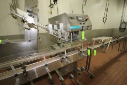 Inline Filling Systems 28