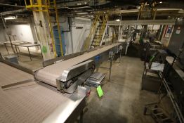 S/S Product Conveyor, with S/S Legs and Incline, 248