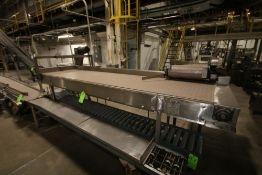 S/S Accumluation Conveyor, Table Top Dimensions 11' L x 30