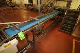 ~12 ft. L S/S Belt Conveyor with 11
