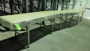 ~20 ft. L S/S Conveyor with Slight Curve, 29-1/2
