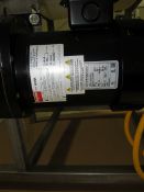 Staginess Steel motorized two level packing conveyor -- (LOCATED IN IOWA, RIGGING INCLUDED WITH SALE