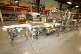 Barry Wehmiller / Thiele / Forpak Sheet Inserter / Dough Stacker, Model - Reciprocating Placer, SN