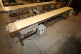 10 ft L S/S Power Belt Conveyor with 14
