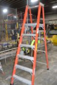 Louisville 6 ft. Step Ladder