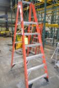 Werner 6 ft. Step Ladder