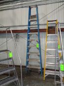 Werner 8 ft. Double Sided Step Ladder with Casters