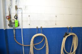 Strahman Model M-5000 Steam and Water Mixer with Hose and Gun