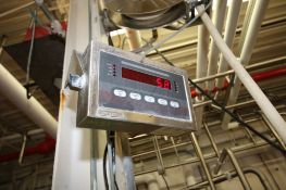 Rice Lake Platform Scale: S/S Diamond Plate; 60