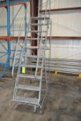 Cotterman 10 ft. Rolling Warehouse Ladder