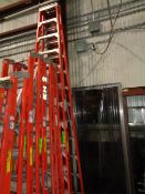 Werner 12 ft. Step Ladder