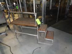 Work Platform; Dual Step with S/S Base & Railings 36