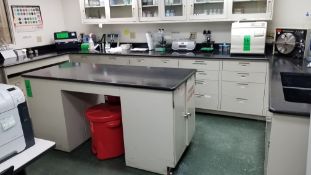 Lab Counters and Cabinets including Sink, Center Cabinet and Wall Units with Sliding Glass Doors