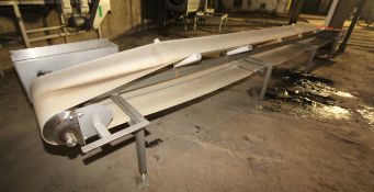 23 ft. S/S Belt Conveyor System with 24