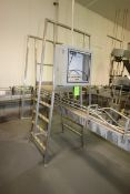 S/S Conveyor Bridge,with Ladder and Hand Rails, Overall Dims.: Aprox. 54