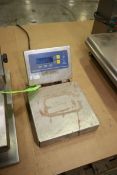 Fairbanks S/S Digital Platform Scale, with 10