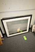 Framed and Matted Photography - Color scenes, Approx. 41