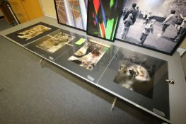 Framed and Matted Photography - Color prints by Bryan Conley, Approx. 24