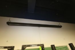 Wall Mounted Manual Projector Screen and Chalkboard (Green)