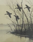 Mahogany swing-framed toilet mirror,
