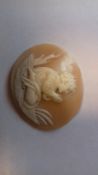 Georgian carved shell cameo, circa 1730-1760 oval, kneeling child, possibly Moses in the bullrushes,