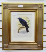 Set of five colour bookplate prints of Cassells 