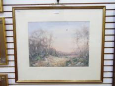 Jonathan Sainsbury (b.