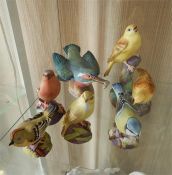 Royal Worcester model birds to include 'Wood Warbler', 'Kingfisher', 'Blue Tit', etc (6)