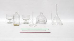 Two 19th century rummers, a wasp catcher, a Georgian cut and etched glass whisky decanter of