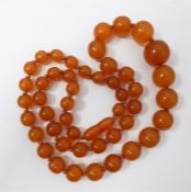 Amber graduated beaded necklace, circular beads, 5