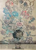 Two botanical colour prints  Flowers for the month