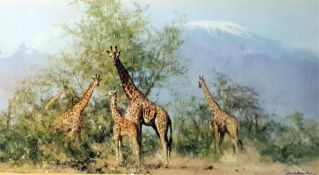 After David Shepherd Limited edition prints 